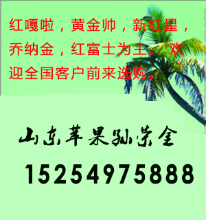 山东最大的苹果黄金梨产地15254975888