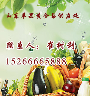 山东苹果黄金梨